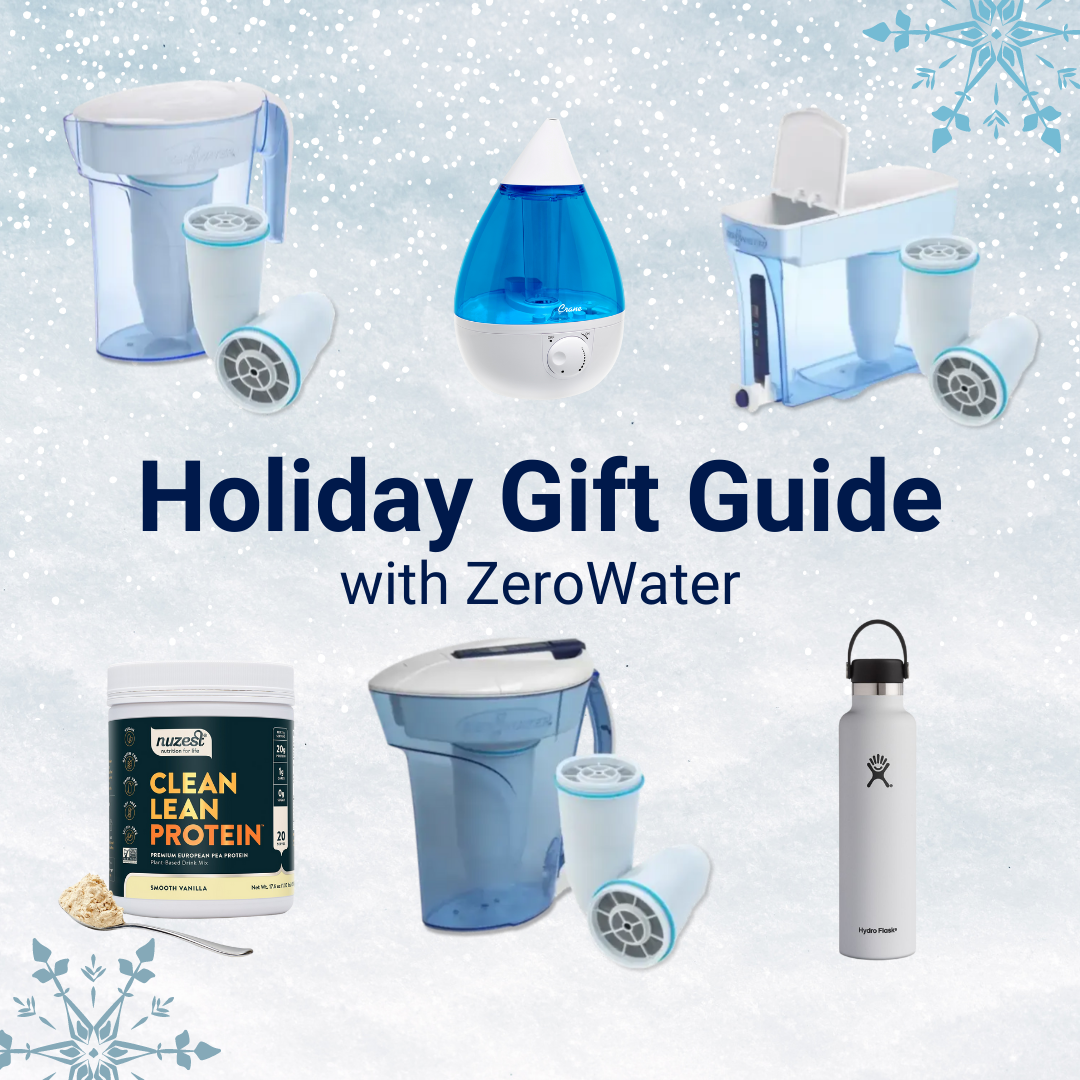 holiday gift guid 2021 - water filtration gifts