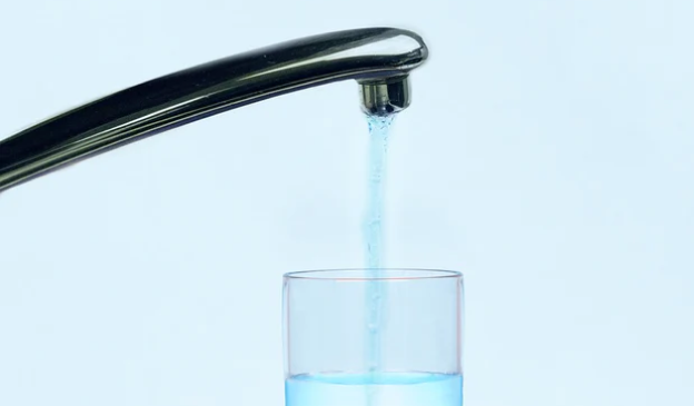 Does the ZeroWater Filter Remove Fluoride?